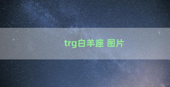 trg白羊座 图片